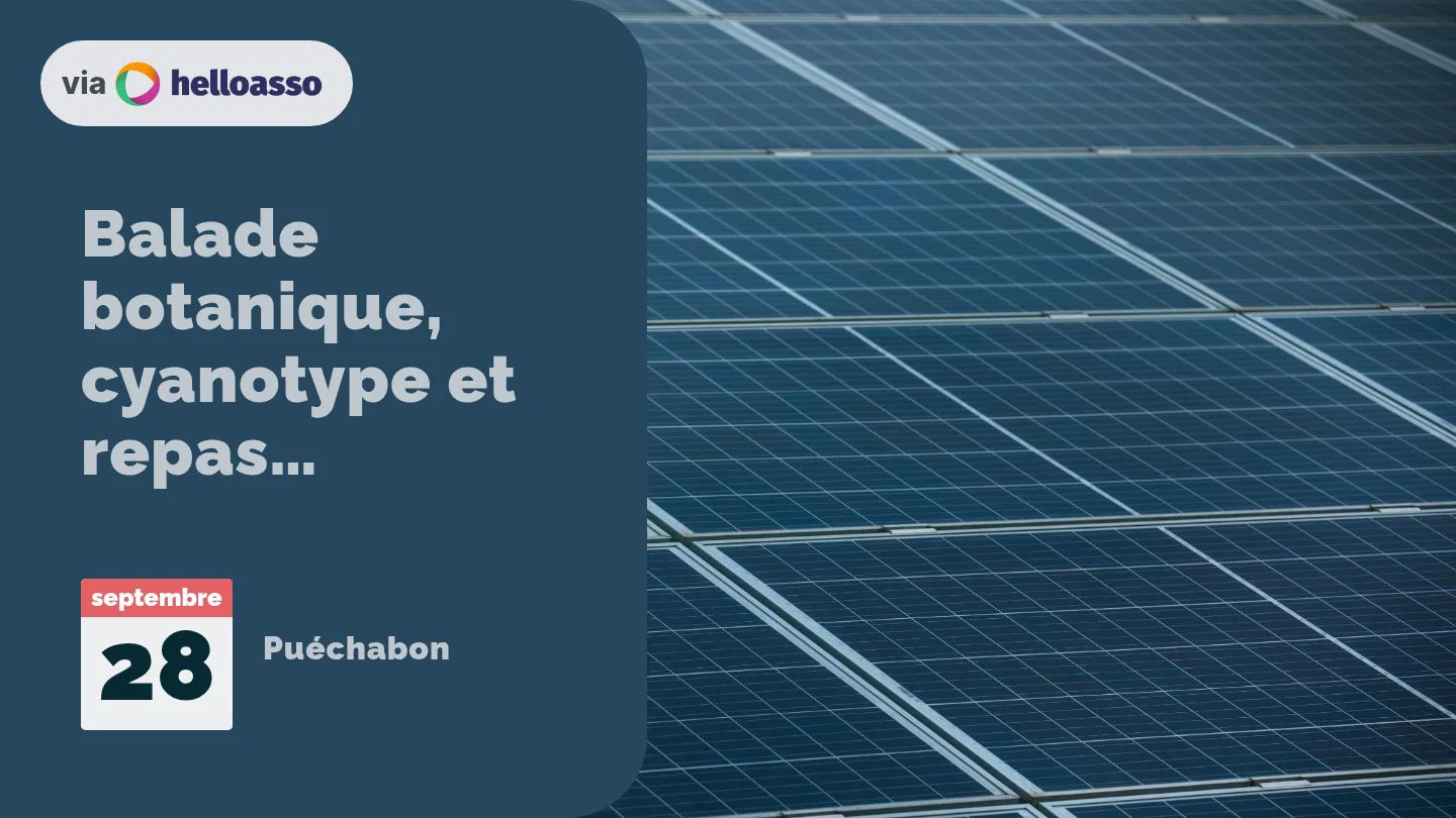 Balade botanique, cyanotype et repas champêtre