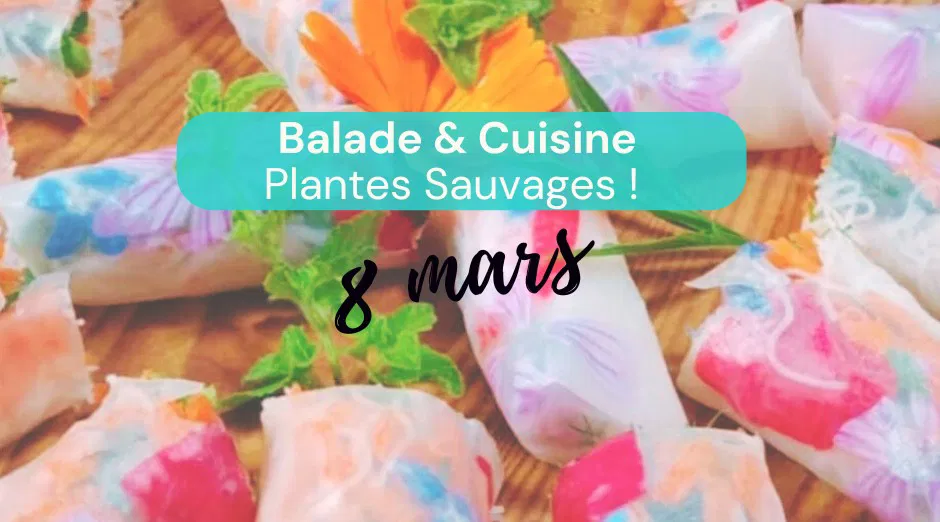 Balade & Atelier Cuisine - Plantes Sauvages Comestibles 