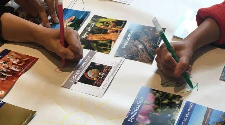 Fresque de la Biodiversité