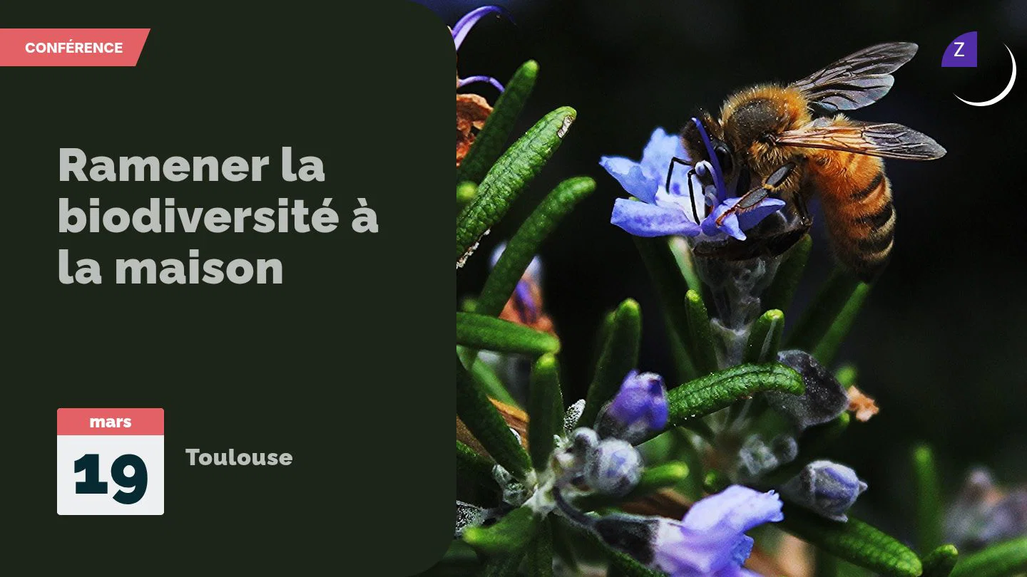 Ramener la biodiversité à la maison 