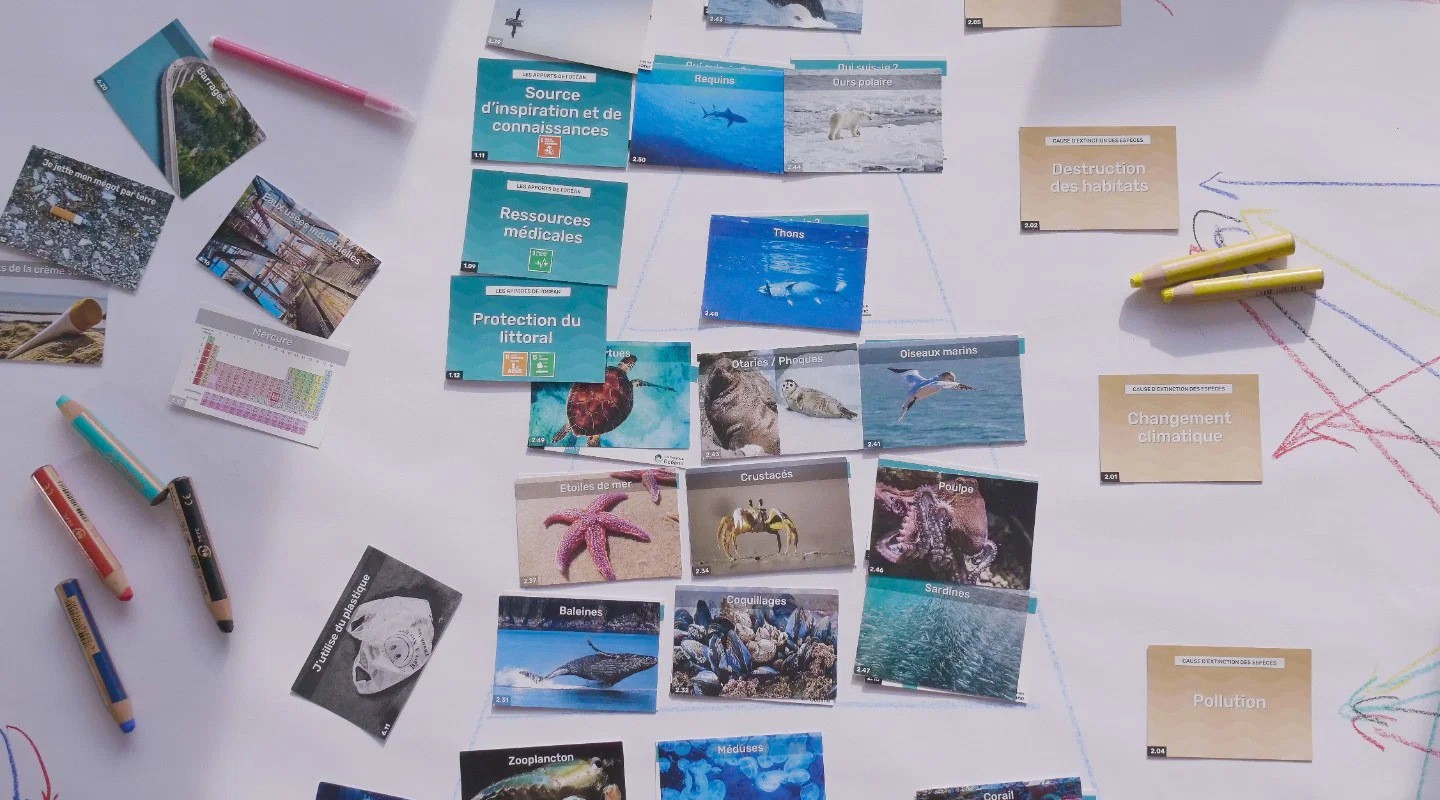 Atelier Fresque Océane - En ligne