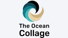 Ocean Collage Workshop - online