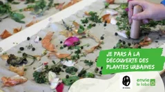 Je pars à la découverte des plantes urbaines et fais de l'impression végétale