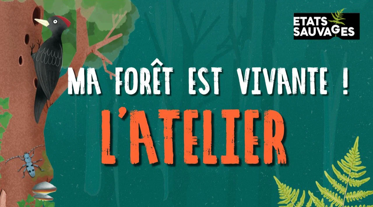 Atelier "Ma Forêt est Vivante !"
