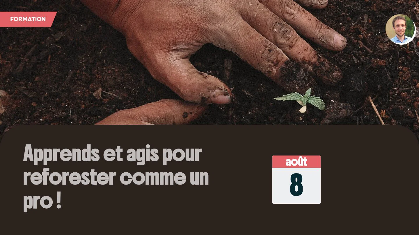 Apprends et agis pour reforester comme un pro !