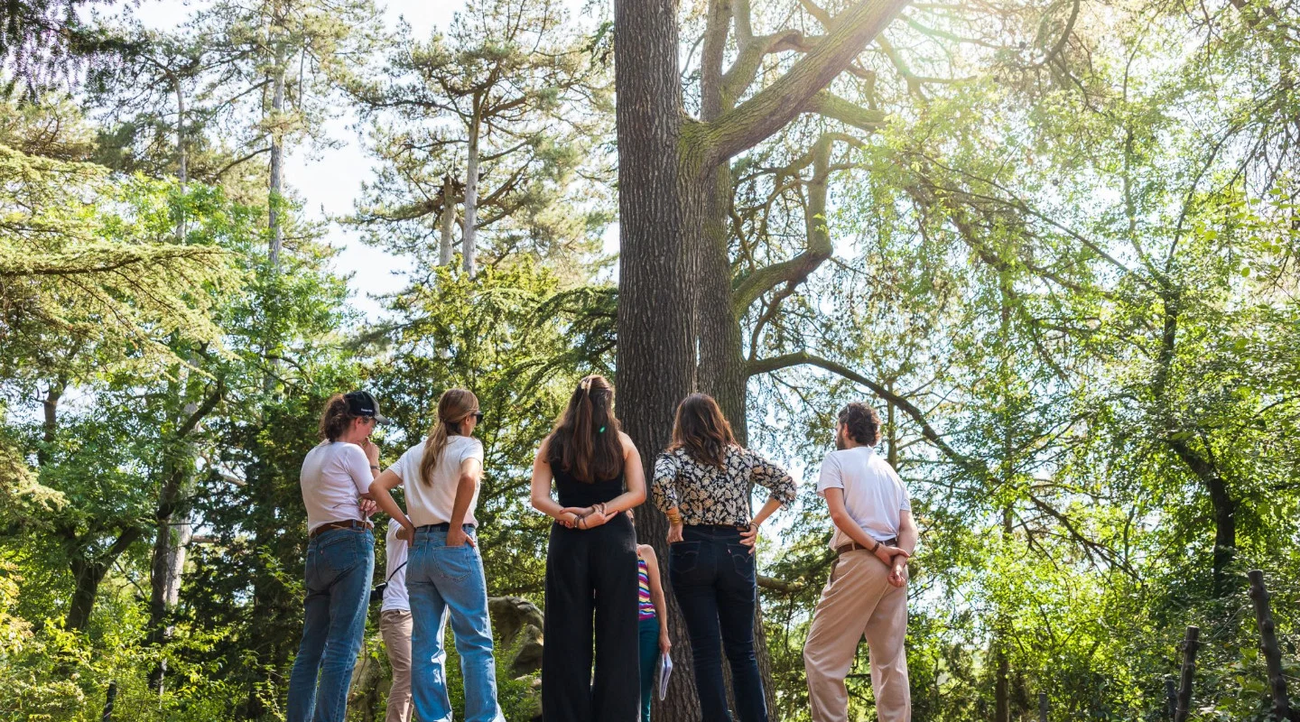 Marche du Temps Profond au Bois de Vincennes